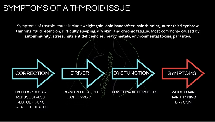 Symptoms of a Thyroid Issue